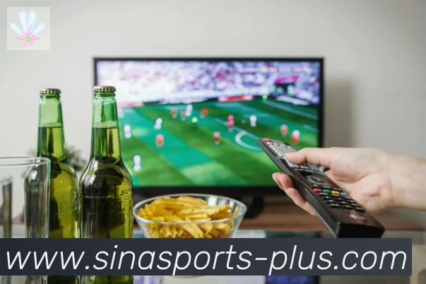 新浪体育服务体系