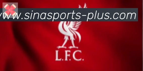 新浪体育合作伙伴