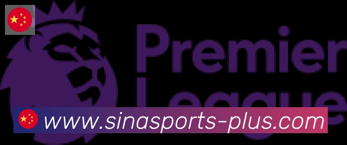 新浪体育合作伙伴